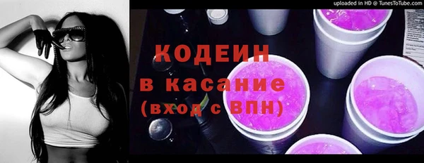 шишки Белокуриха